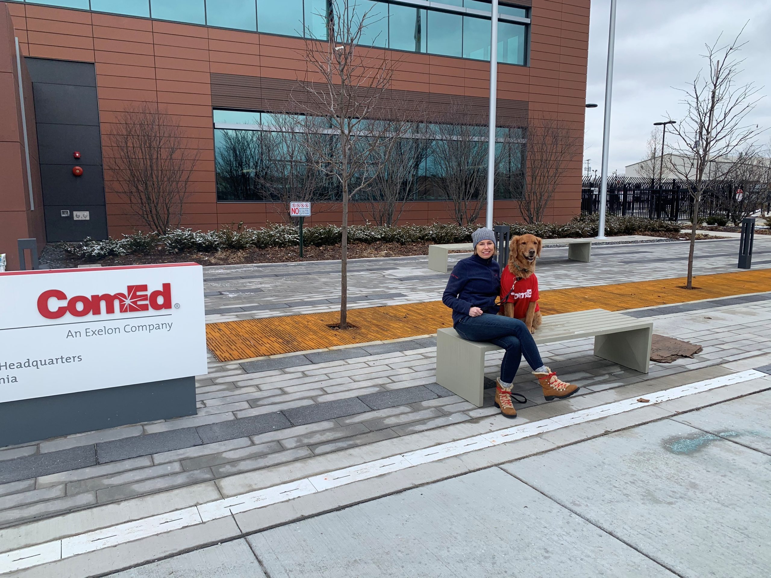 Comed Values Understanding your electric bill: A discussion with a ComEd expert ...